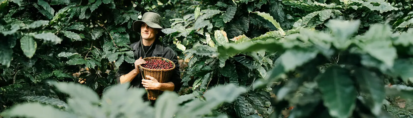 Coffee, Tourism, and the Price of Uncertainty 2 Travel & Tourism News – Global, Trusted, Independent | eTurboNews | eTN