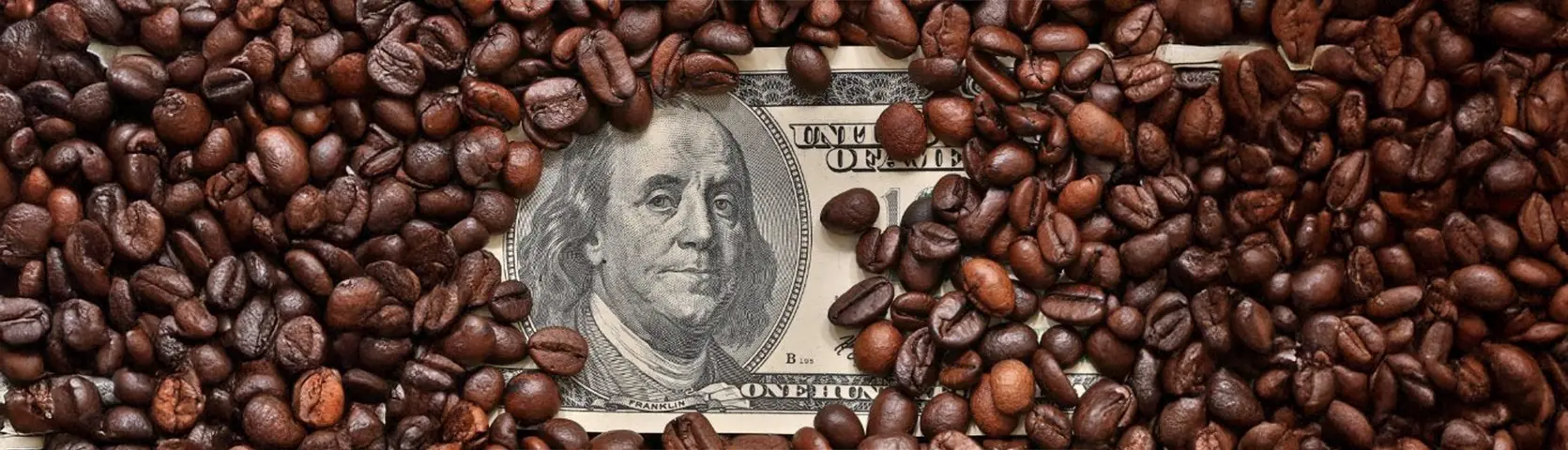 The Economics of Coffee: Market Trends and Forecasts | Pure Coffee