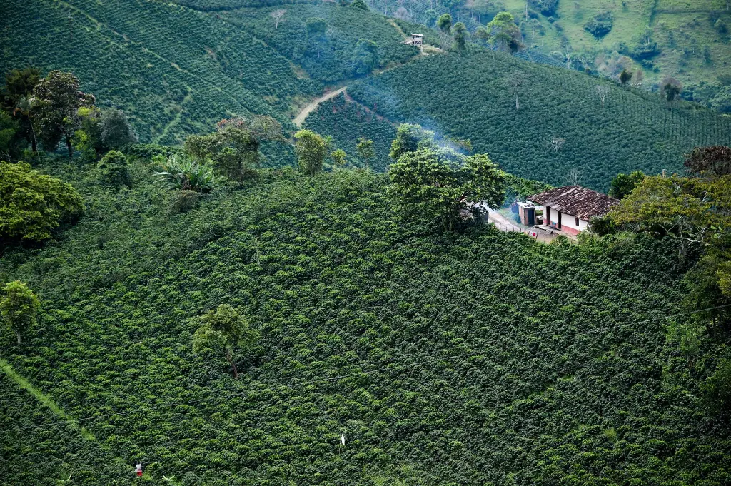 colombia n2.webp