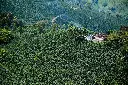 colombia n2.webp