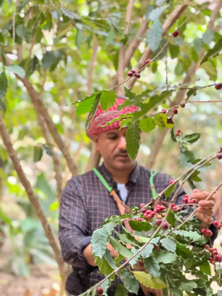 WhatsApp Image 2025-08-14 at 13.00.25 (2).webp