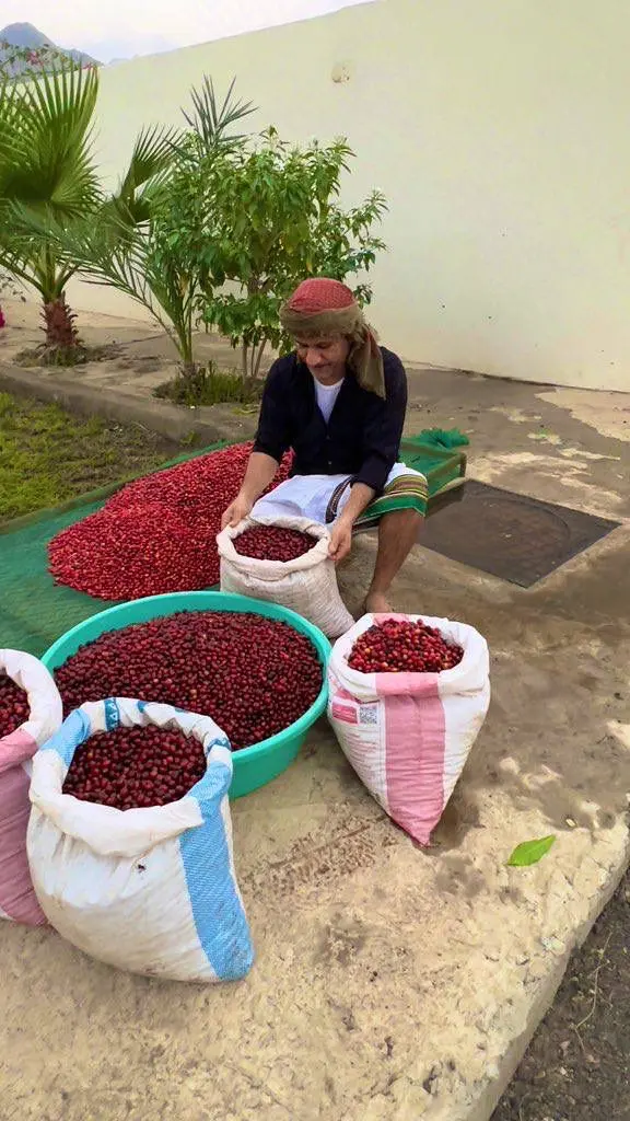 WhatsApp Image 2025-08-14 at 13.00.24 (1).webp