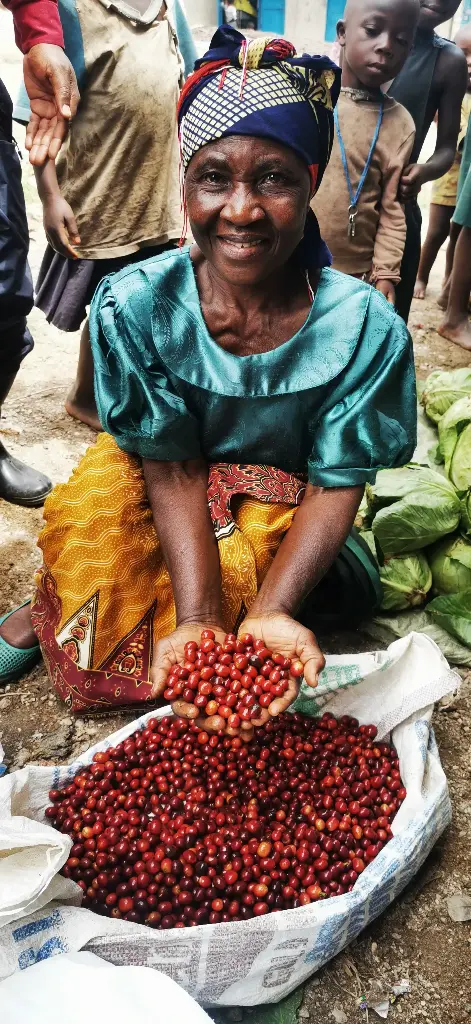 Uganda Green Coffee Beans - Kitoma - UG29 [60KG BAG]