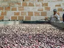 Colombia Green Coffee Beans - Washed - Huila [70KG BAG]