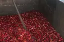 Uganda Green Coffee Beans - Lunar - UG13 [60KG BAG]