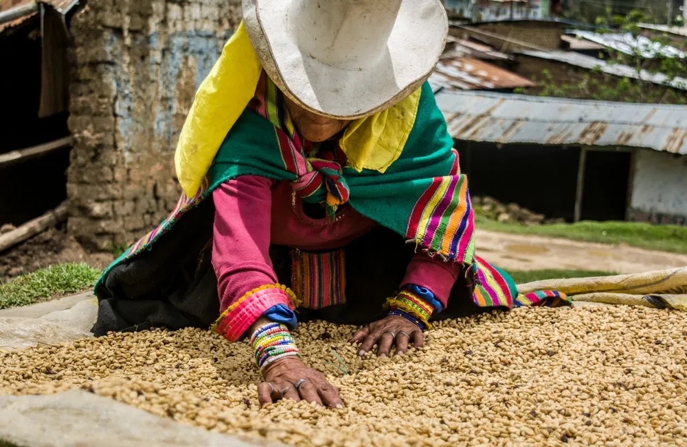 Peru Green Coffee Beans - Washed - Radiant [69KG BAG]