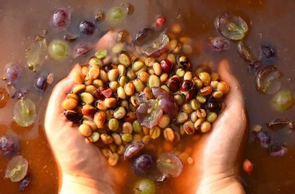 Colombia Green Coffee Beans - Grape [24KG BAG]