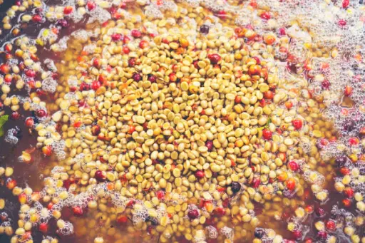 Colombia Green Coffee Beans - Honey Grape [24KG BAG]