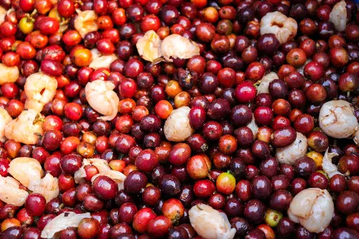 [24KG BAG] بن أخضر كولومبي - ليتشي