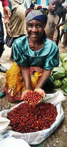 UG29 [60KG BAG] بن أخضر أوغندي لاهوائي